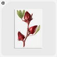 2-20_USDA-Watercolor-Fruit-Painting-Collection_postcard