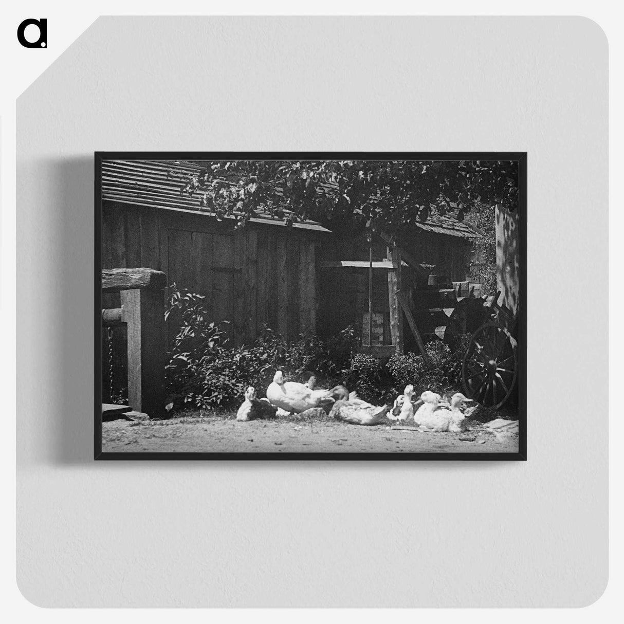 2-21_Alfred-Stieglitz_blk-crop