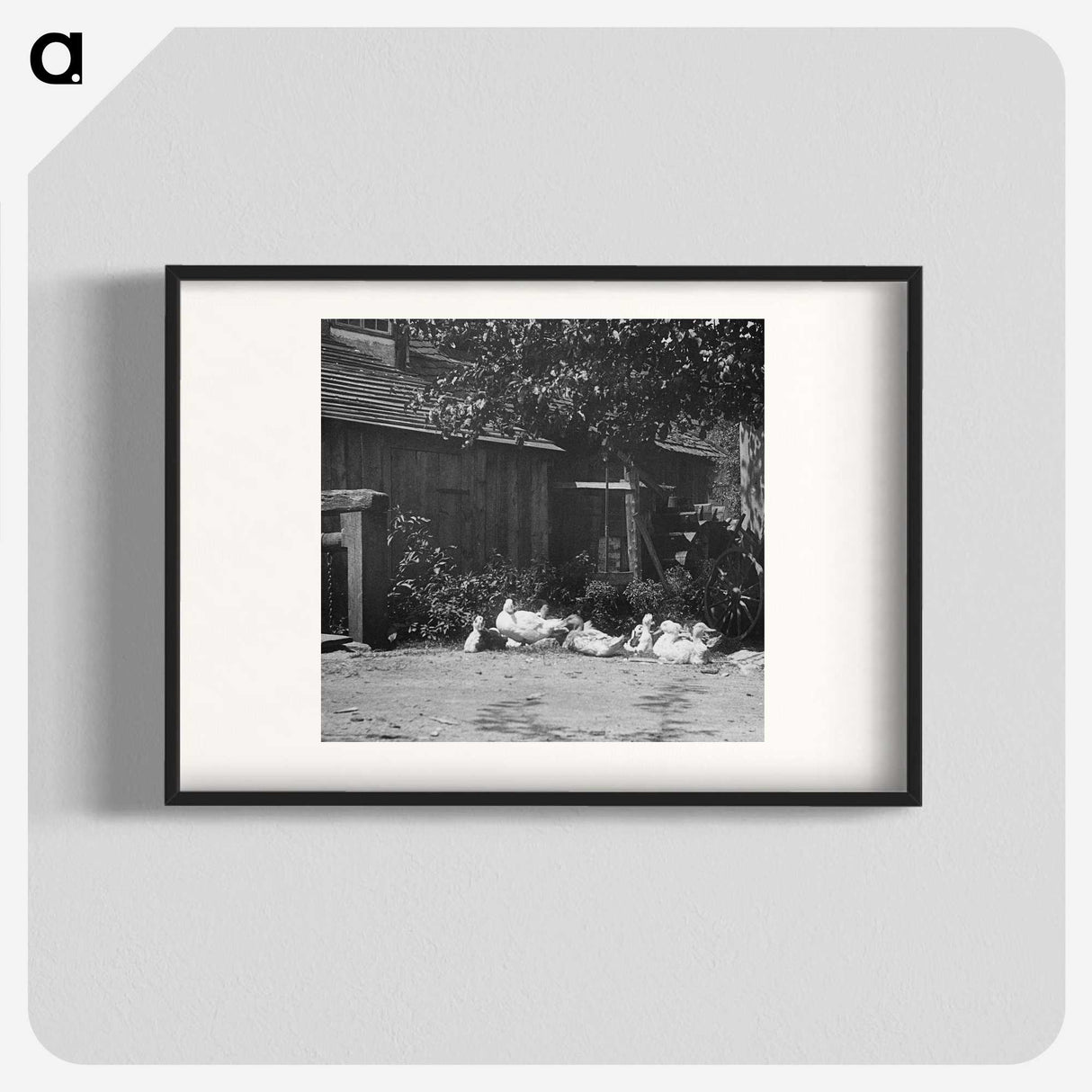 2-21_Alfred-Stieglitz_blk