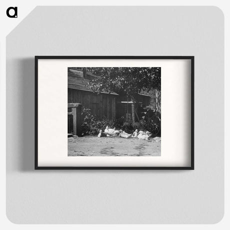 2-21_Alfred-Stieglitz_blk