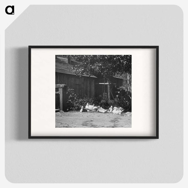 2-21_Alfred-Stieglitz_blk