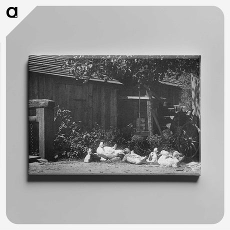 2-21_Alfred-Stieglitz_canvas