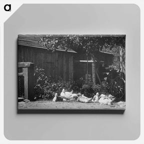 アートパネル-Gutach - アルフレッド スティーグリッツ Canvas.