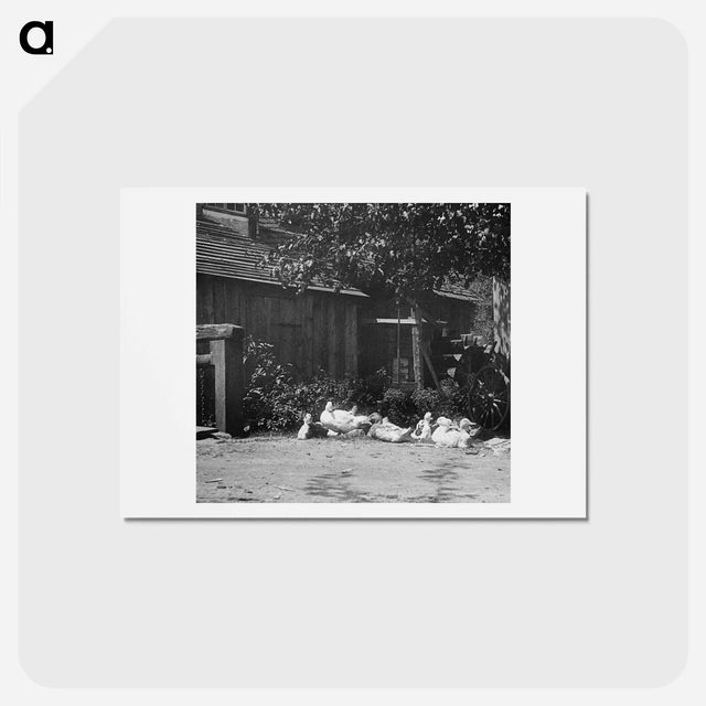 アートポストカード-Gutach - アルフレッド スティーグリッツ Postcard.