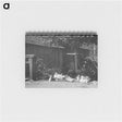 2-21_Alfred-Stieglitz_memo