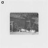 2-21_Alfred-Stieglitz_memo