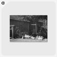 2-21_Alfred-Stieglitz_postcard