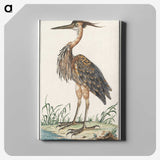 2-21_Anselmus-Boetius-de-Boodt_canvas