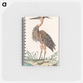 アートメモ帳-The Purple Heron - アンセルムス ボエティウス デ ブート Memo.