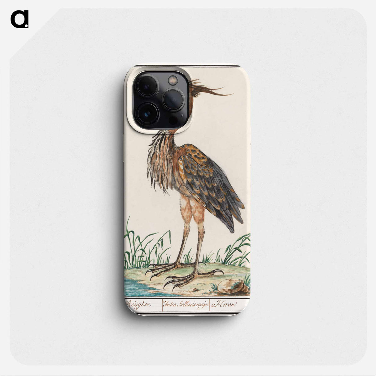 The Purple Heron - アンセルムス ボエティウス デ ブート Phone Case.