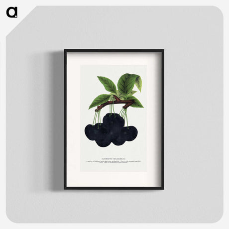 2-21_Botanical-Specimen-Plates_blk