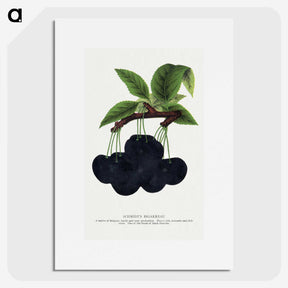 2-21_Botanical-Specimen-Plates_picture