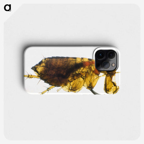 2-21_COVID-19_phone