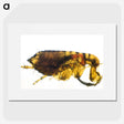 2-21_COVID-19_picture
