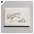 2-21_Charles-Hamilton-Smith_canvas