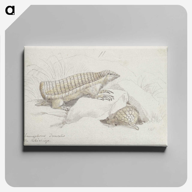 2-21_Charles-Hamilton-Smith_canvas