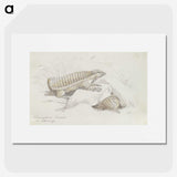 2-21_Charles-Hamilton-Smith_picture