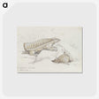 2-21_Charles-Hamilton-Smith_postcard