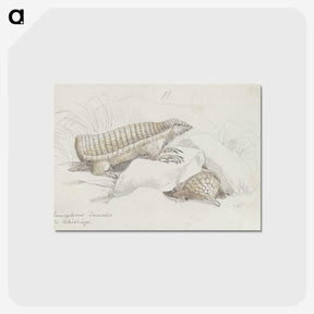 2-21_Charles-Hamilton-Smith_postcard