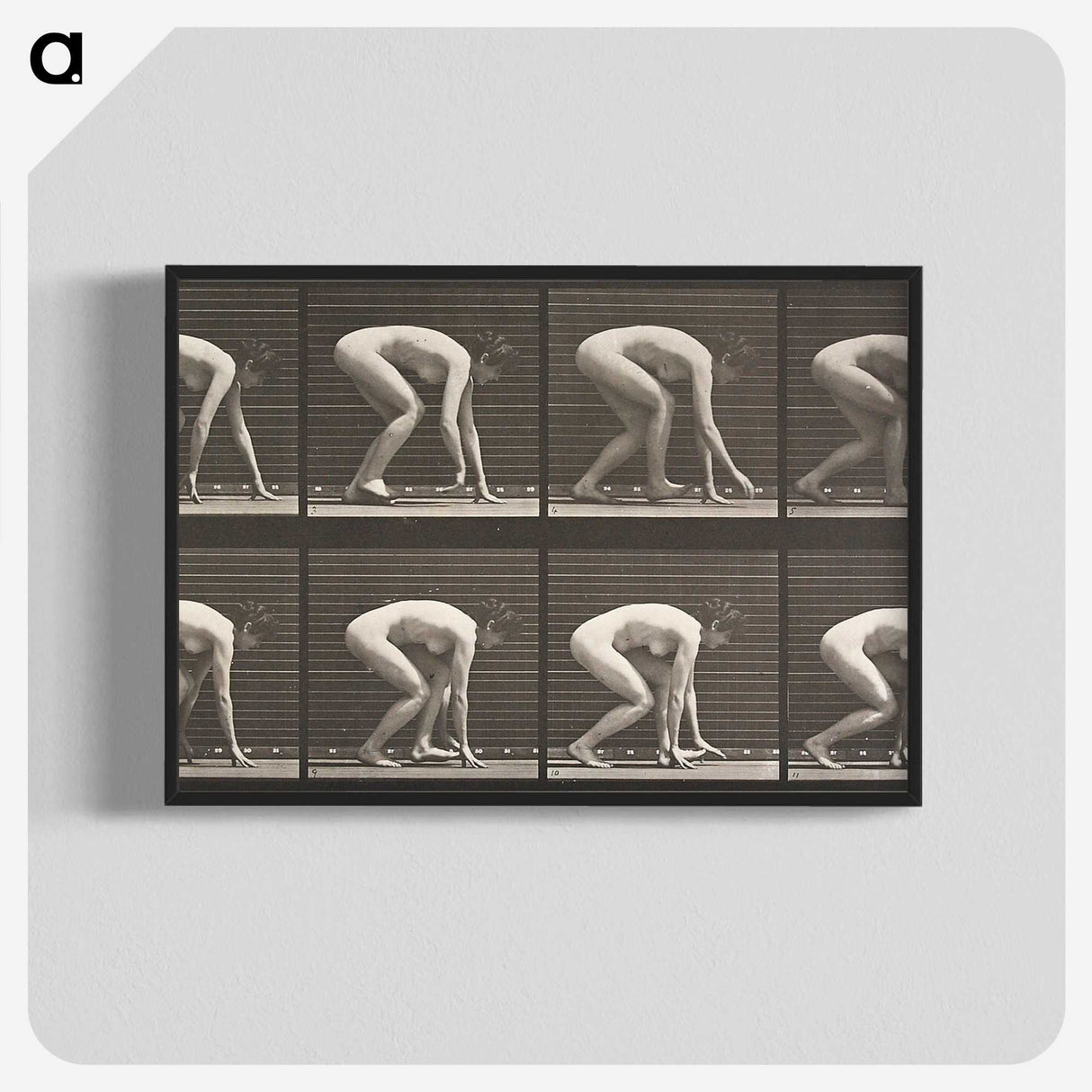2-21_Eadweard-Muybridge_blk-crop
