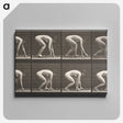 2-21_Eadweard-Muybridge_canvas