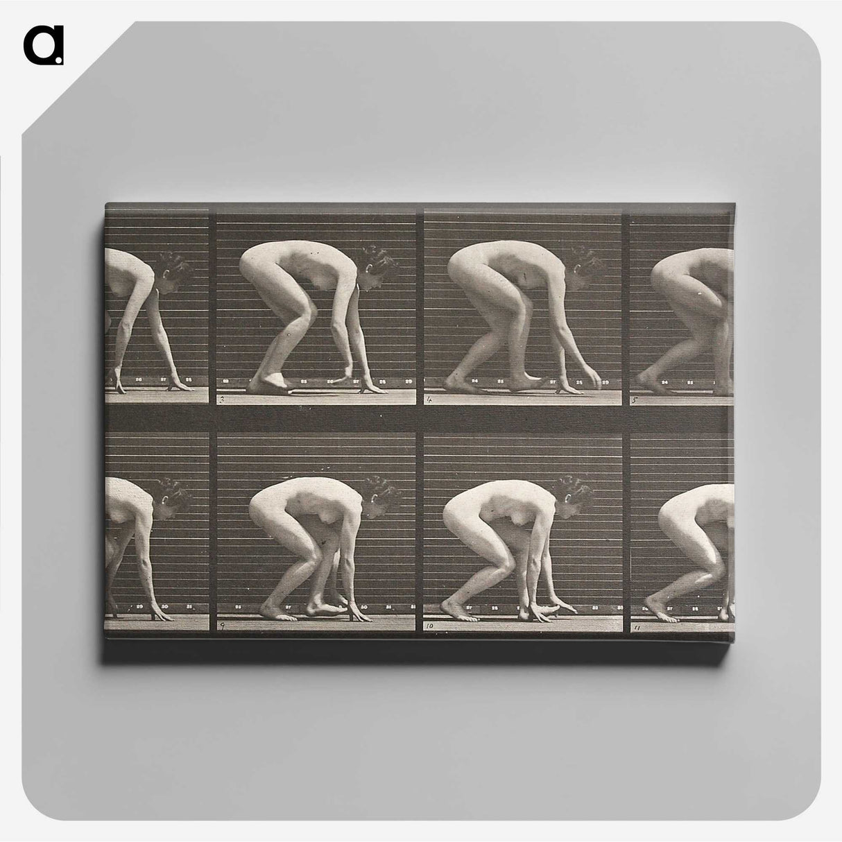 2-21_Eadweard-Muybridge_canvas