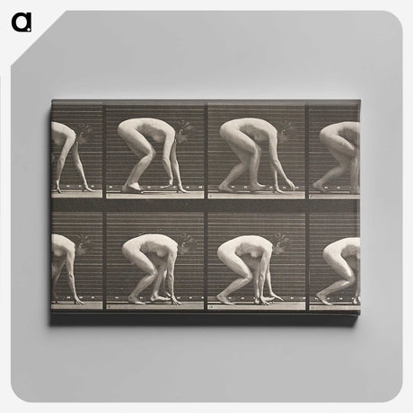 2-21_Eadweard-Muybridge_canvas