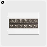 アートポストカード-Walking on Hands and Feet
 - エドワード マイブリッジ Postcard.