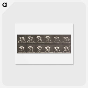 アートポストカード-Walking on Hands and Feet
 - エドワード マイブリッジ Postcard.