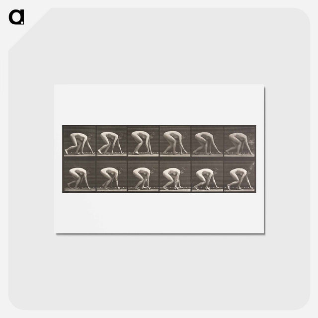 アートポストカード-Walking on Hands and Feet
 - エドワード マイブリッジ Postcard.
