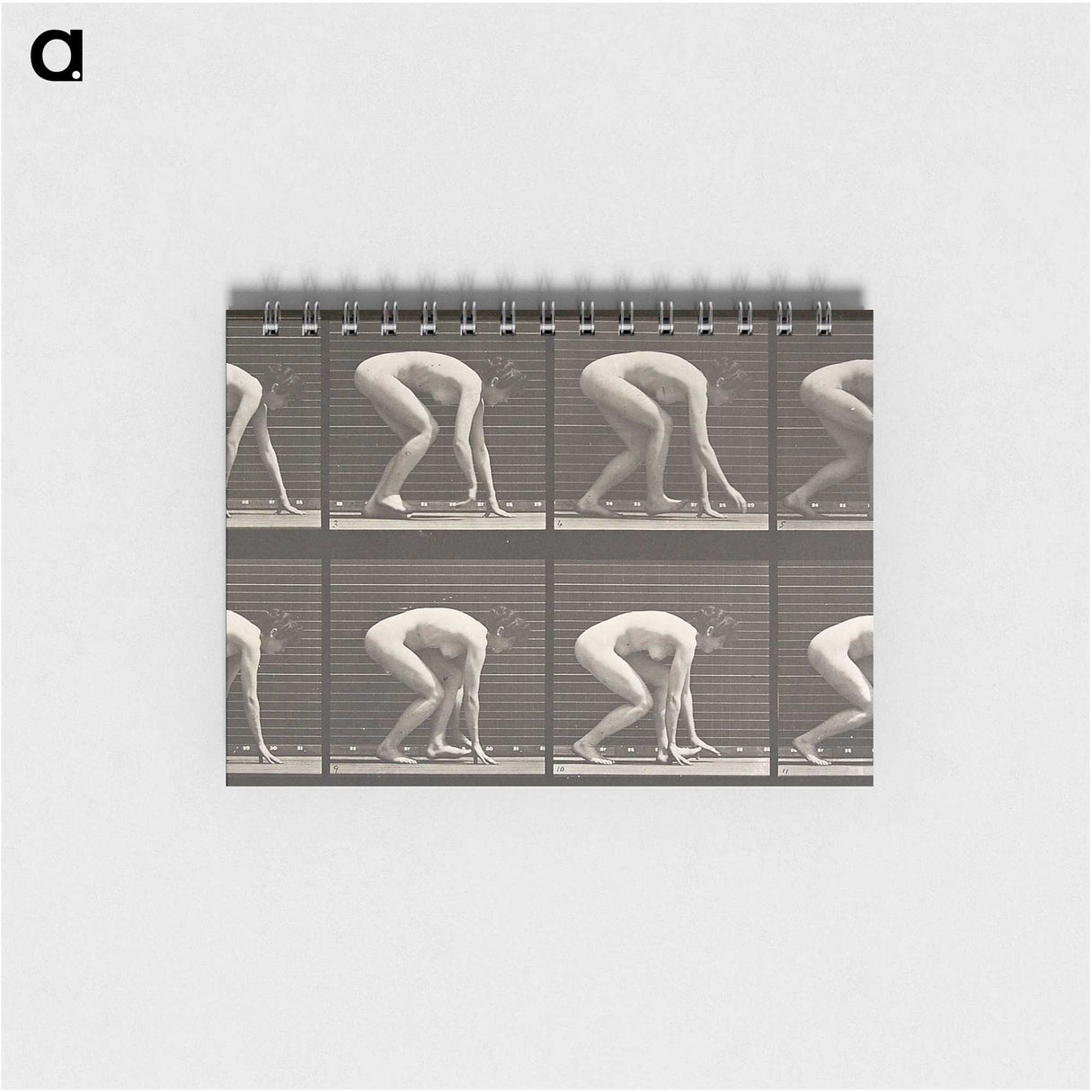 2-21_Eadweard-Muybridge_memo