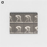 2-21_Eadweard-Muybridge_memo
