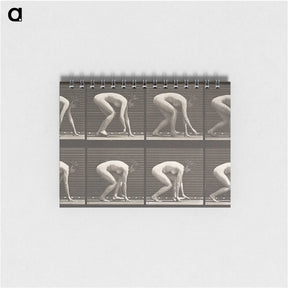 2-21_Eadweard-Muybridge_memo