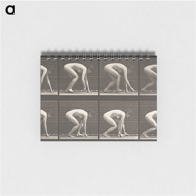 2-21_Eadweard-Muybridge_memo
