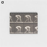 アートメモ帳-Walking on Hands and Feet
 - エドワード マイブリッジ Memo.