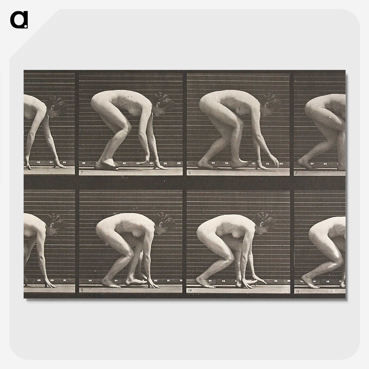 2-21_Eadweard-Muybridge_picture-crop