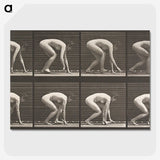 2-21_Eadweard-Muybridge_picture-crop