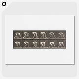 2-21_Eadweard-Muybridge_picture