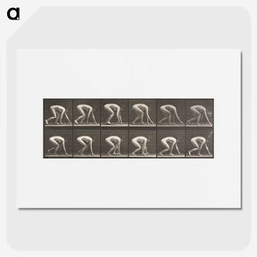2-21_Eadweard-Muybridge_picture