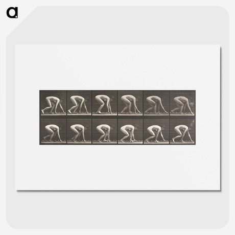 2-21_Eadweard-Muybridge_picture