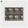 2-21_Eadweard-Muybridge_postcard