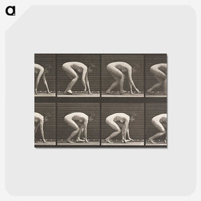 2-21_Eadweard-Muybridge_postcard
