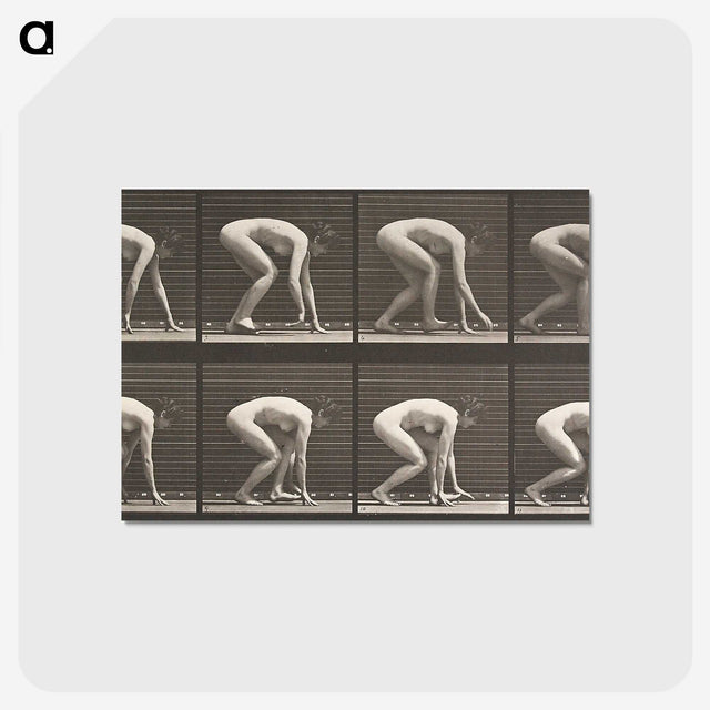 2-21_Eadweard-Muybridge_postcard