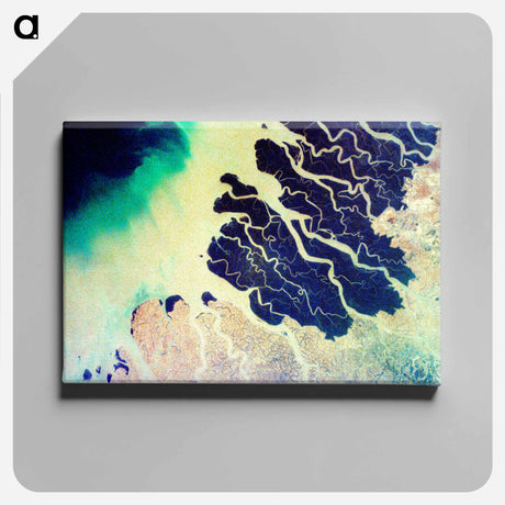 アートパネル-Ganges Delta
 - 上空からの地球 Canvas.