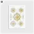 2-21_Ernst-Haeckel_postcard