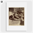 2-21_Eugene-Atget_picture