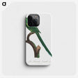 2-21_Francois-Levaillant_phone