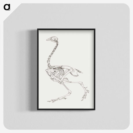 2-21_George-Stubbs_blk-crop