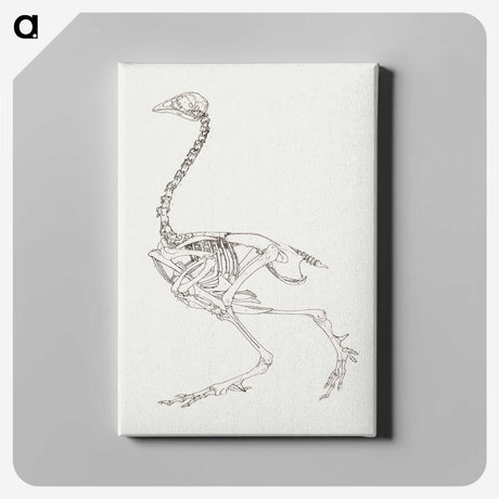 2-21_George-Stubbs_canvas
