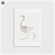 アートポストカード-Fowl Skeleton, Lateral View
 - ジョージ スタッブス Postcard.
